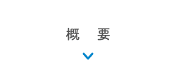 概要