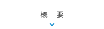 概要